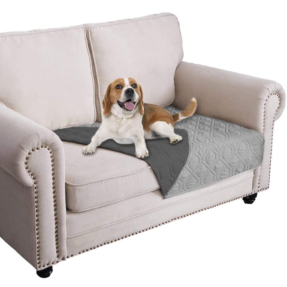 Ameritex funda impermeable para perro en mueble, protege muebles y evita manchas.
