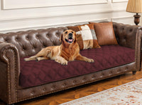 Ameritex funda impermeable para perro sobre sofá protege el mueble