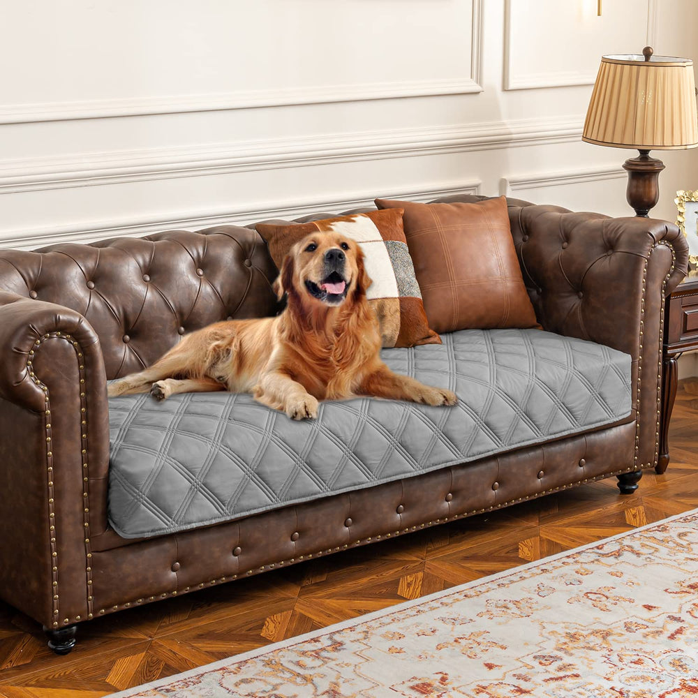 Ameritex funda impermeable para perro sobre sofá, protege muebles contra manchas.