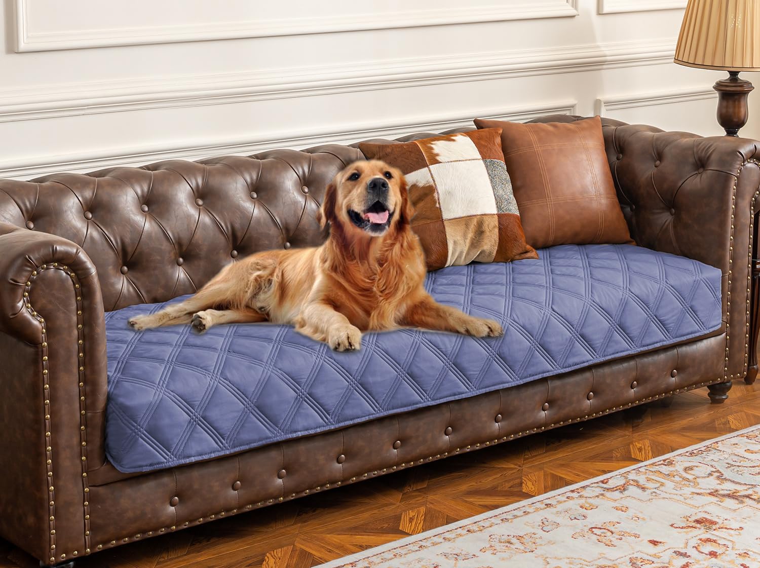 Ameritex funda impermeable para sofá con perro protege muebles contra derrames.