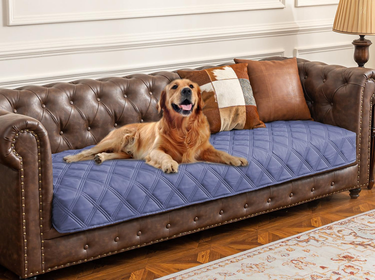 Ameritex funda impermeable para sofá con perro protege muebles contra derrames.