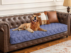 Ameritex funda impermeable para sofá con perro protege muebles contra derrames.