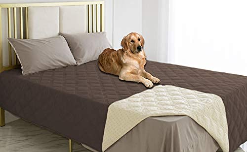 Protección para muebles frente a olores de mascotas, mantiene fragancia agradable.