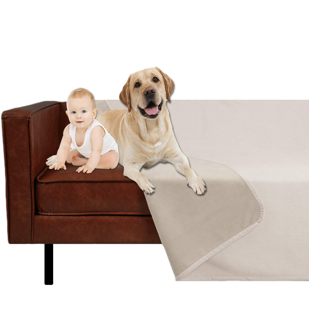 Manta Ameritex de terciopelo ultrasuave para mayor confort de tu mascota