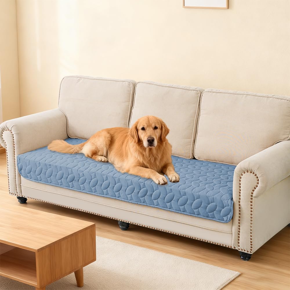 Ameritex protección para muebles del hogar evita manchas y olores