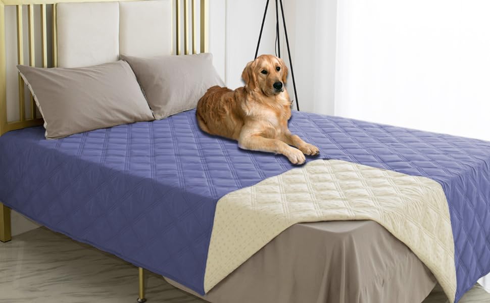 Ameritex proteccion para el hogar ideal para mascotas