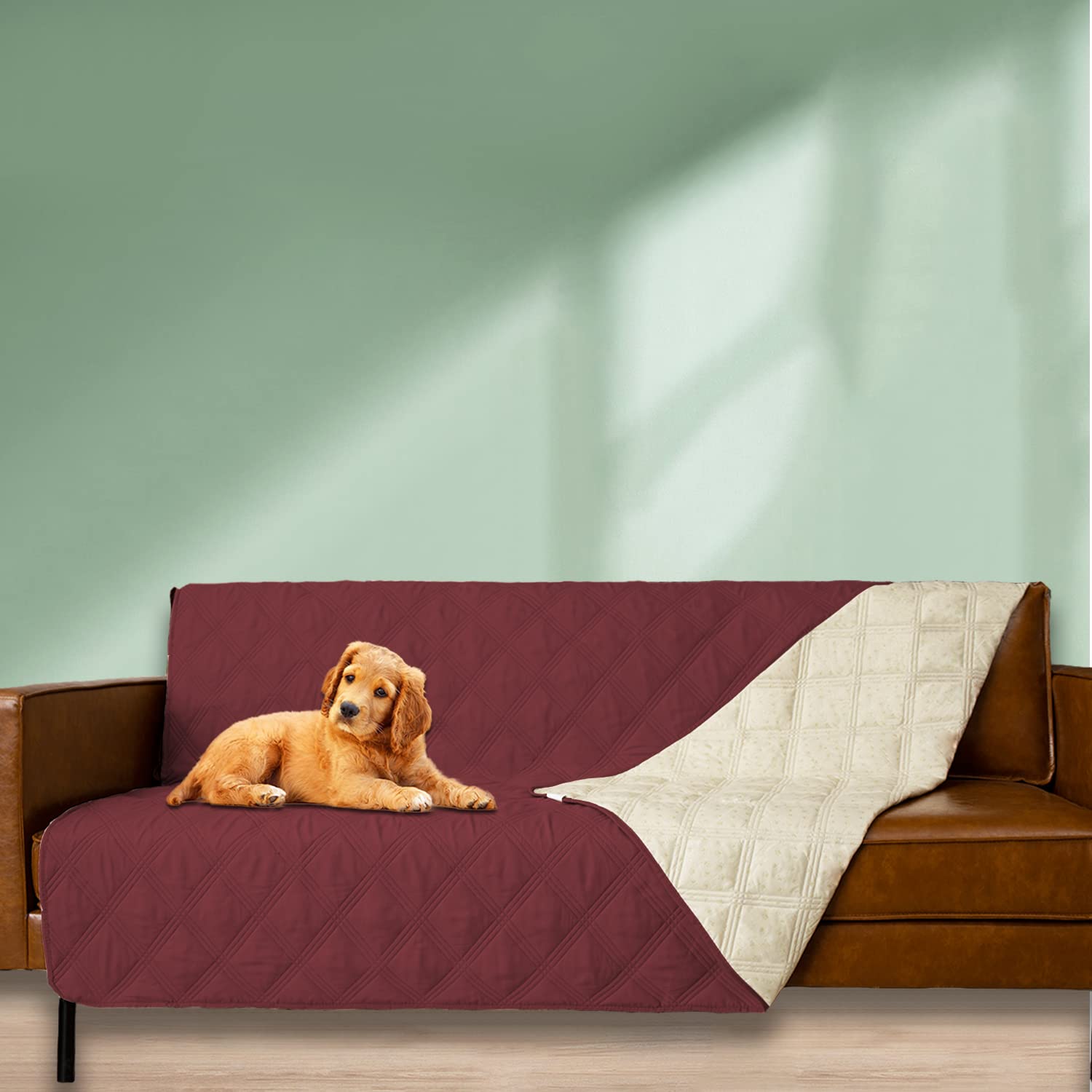 Ameritex tejido suave y lujoso, sensación cómoda para ti y tu amigo peludo.