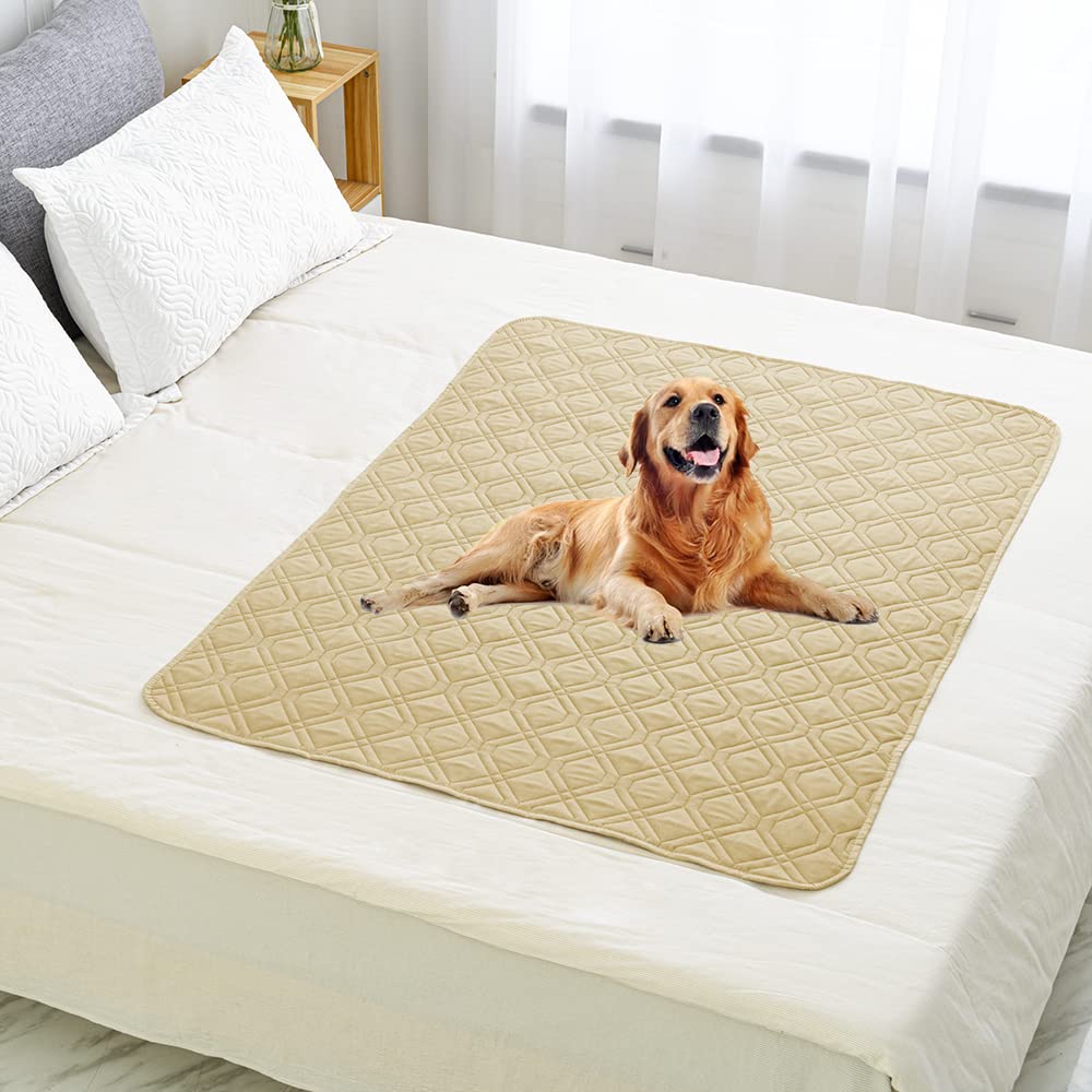 Ameritex detalle de acabado suave en una cara para mayor comodidad del perro.
