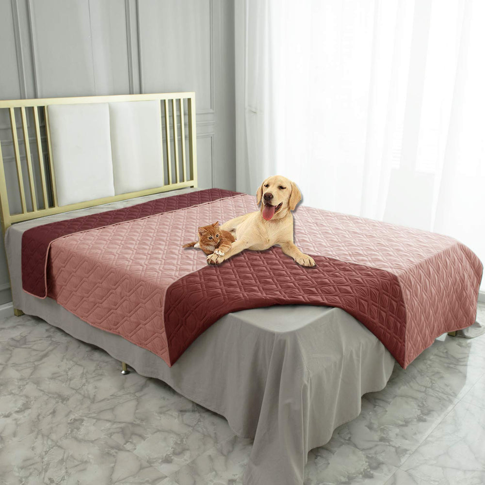 Textura suave de la funda Ameritex ofrece confort para tu compañero canino.