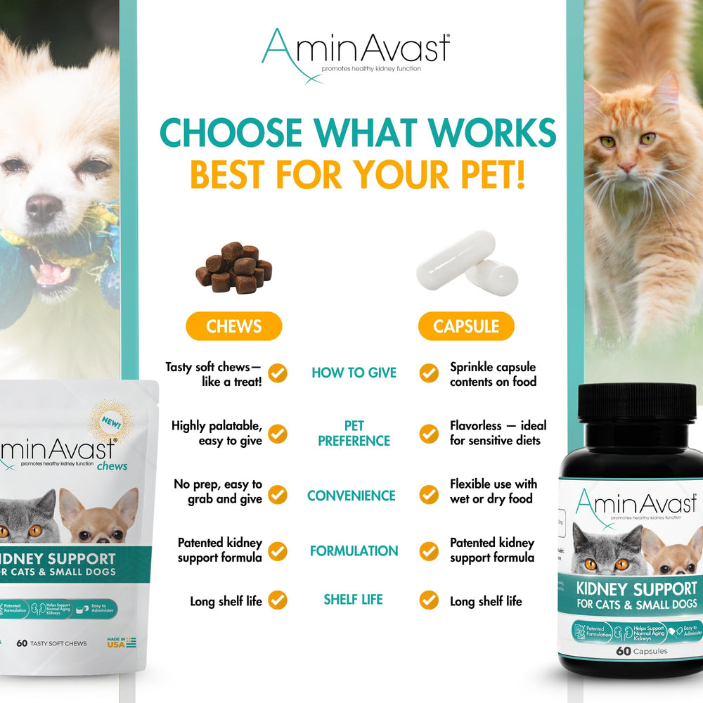 Comida mezclada con AminAvast para mascotas de peso ligero.