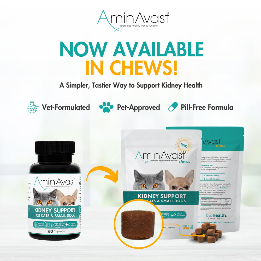 AminAvast apoya función renal, hidratación y pelaje saludable.