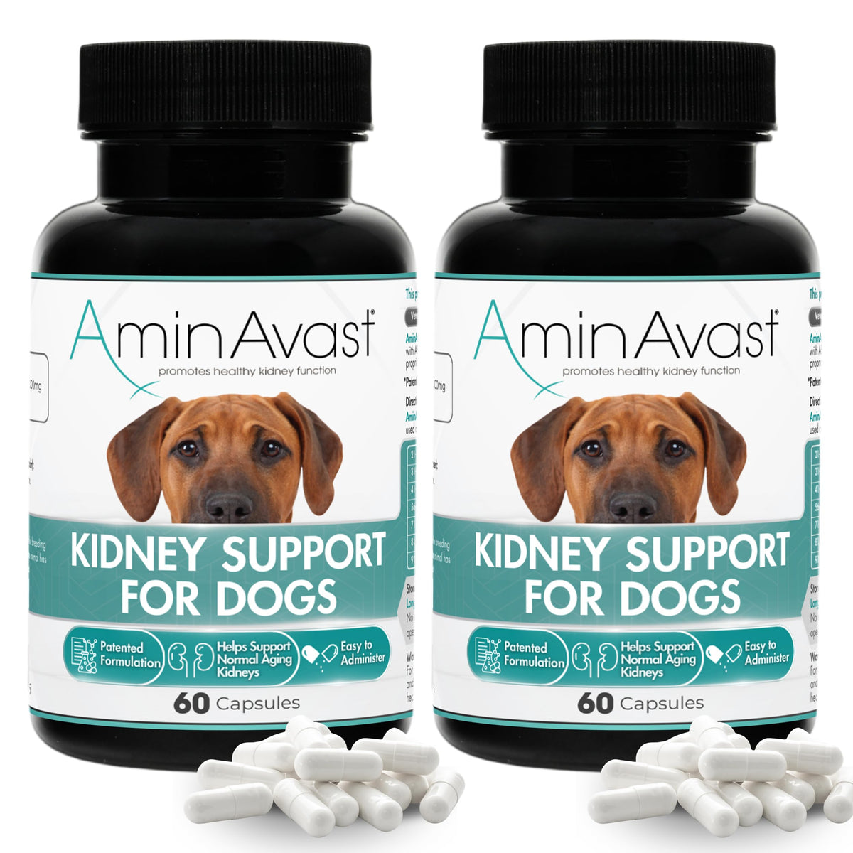 AminAvast: cápsulas espolvoreables para apoyo renal en perros, fáciles de mezclar en comida.