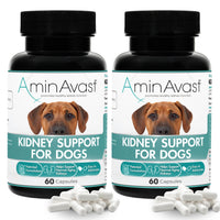 AminAvast: cápsulas espolvoreables para apoyo renal en perros, fáciles de mezclar en comida.