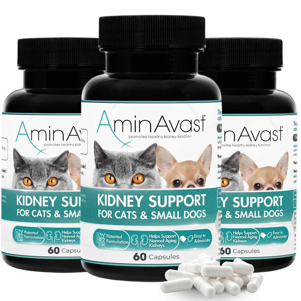 AminAvast: botella de cápsulas espolvoreables para soporte renal en gatos y perros pequeños.