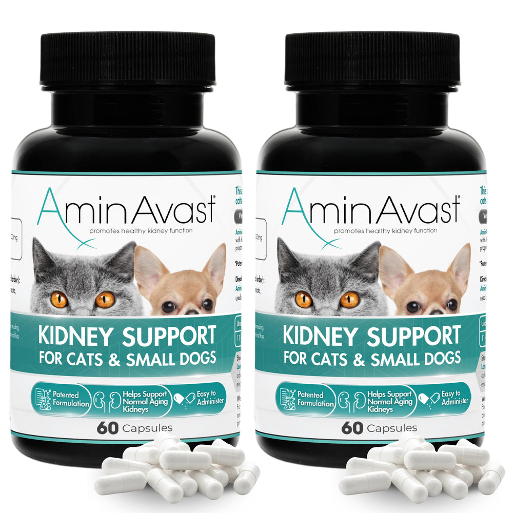 AminAvast: cápsulas espolvoreables sobre comida, apoyo renal diario para mascotas pequeñas.