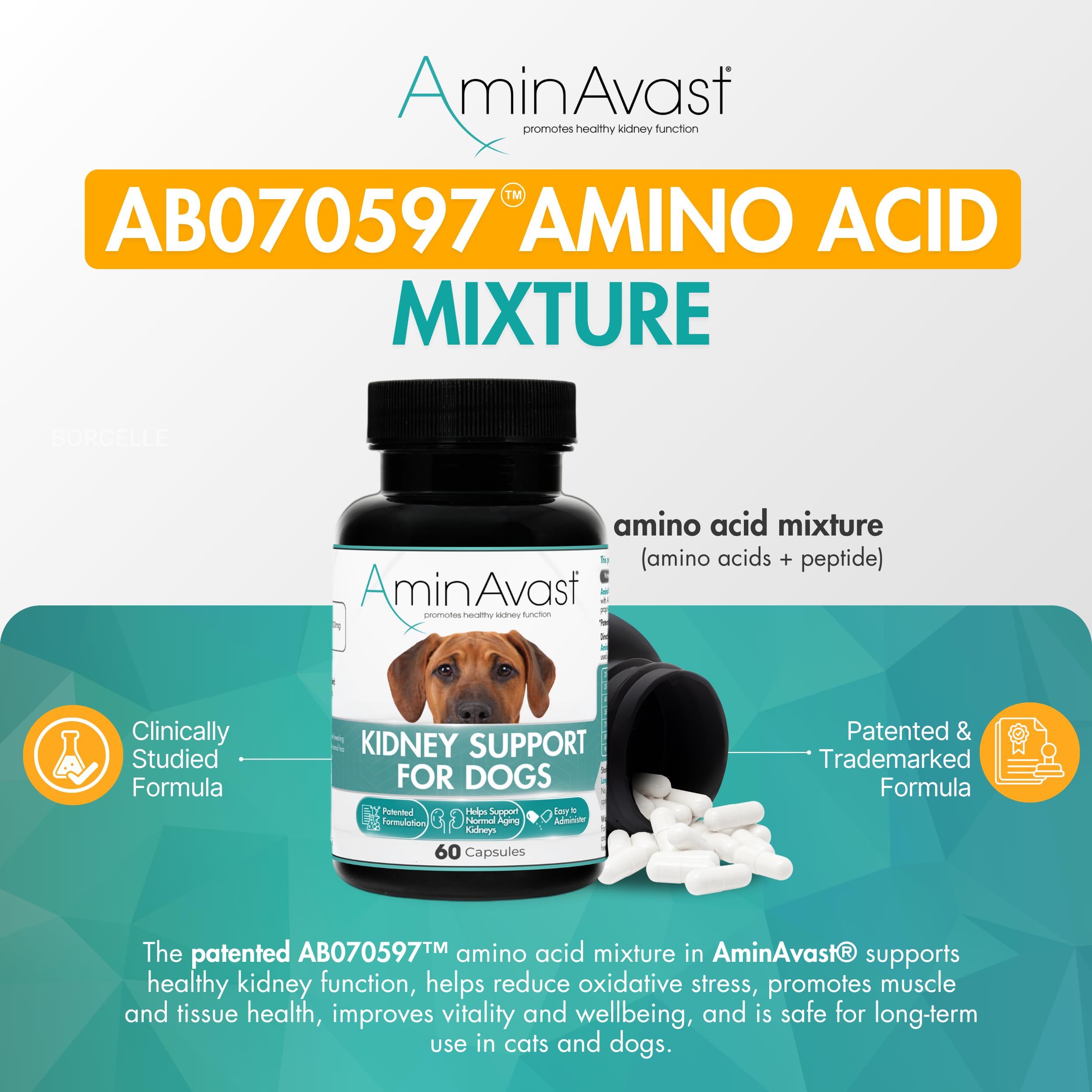 AminAvast dosis diaria fácil, ideal para uso continuo.