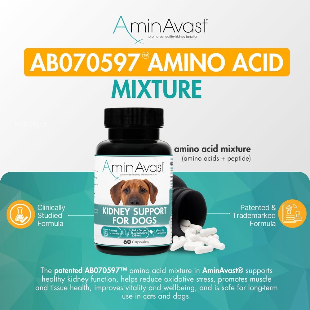 AminAvast dosis diaria fácil, ideal para uso continuo.
