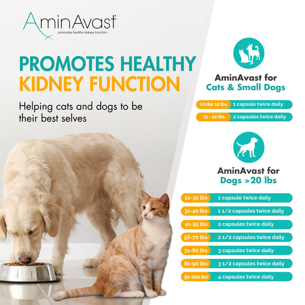 AminAvast: dosis diaria para perros, contribuye a la vitalidad y hidratación.