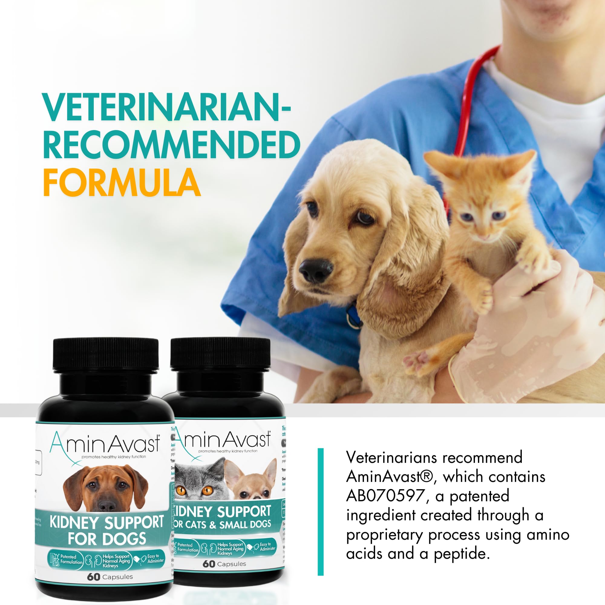 AminAvast estudio clínico, evidencia en perros y gatos.