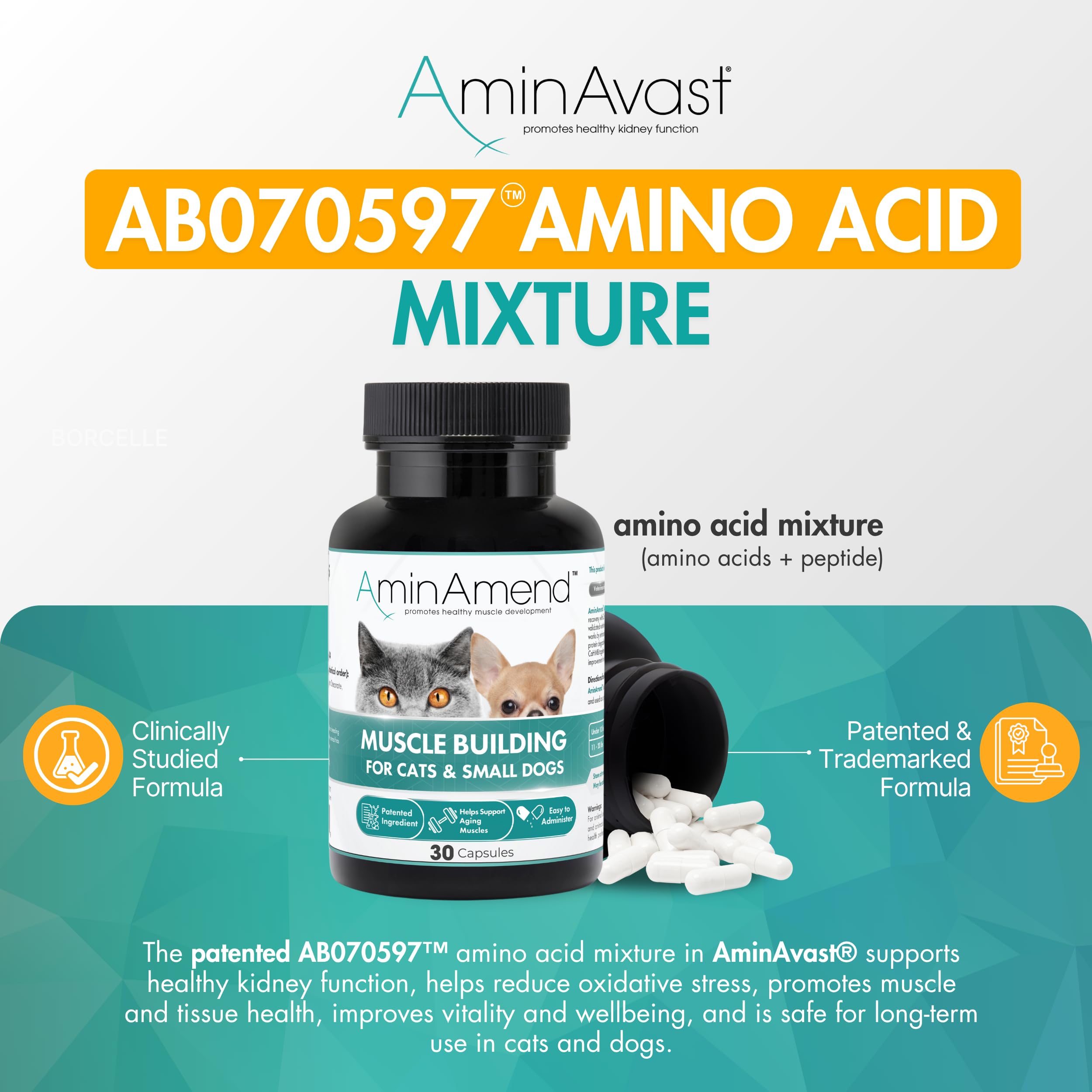 AminAvast formula patentada para el cuidado renal de mascotas.