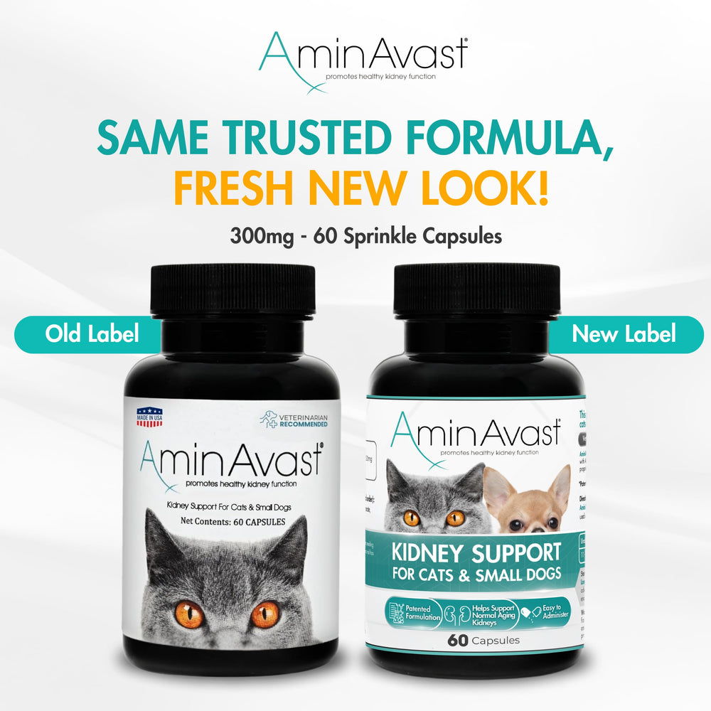 AminAvast: mezcla con alimento diario mejora ingesta y comodidad.