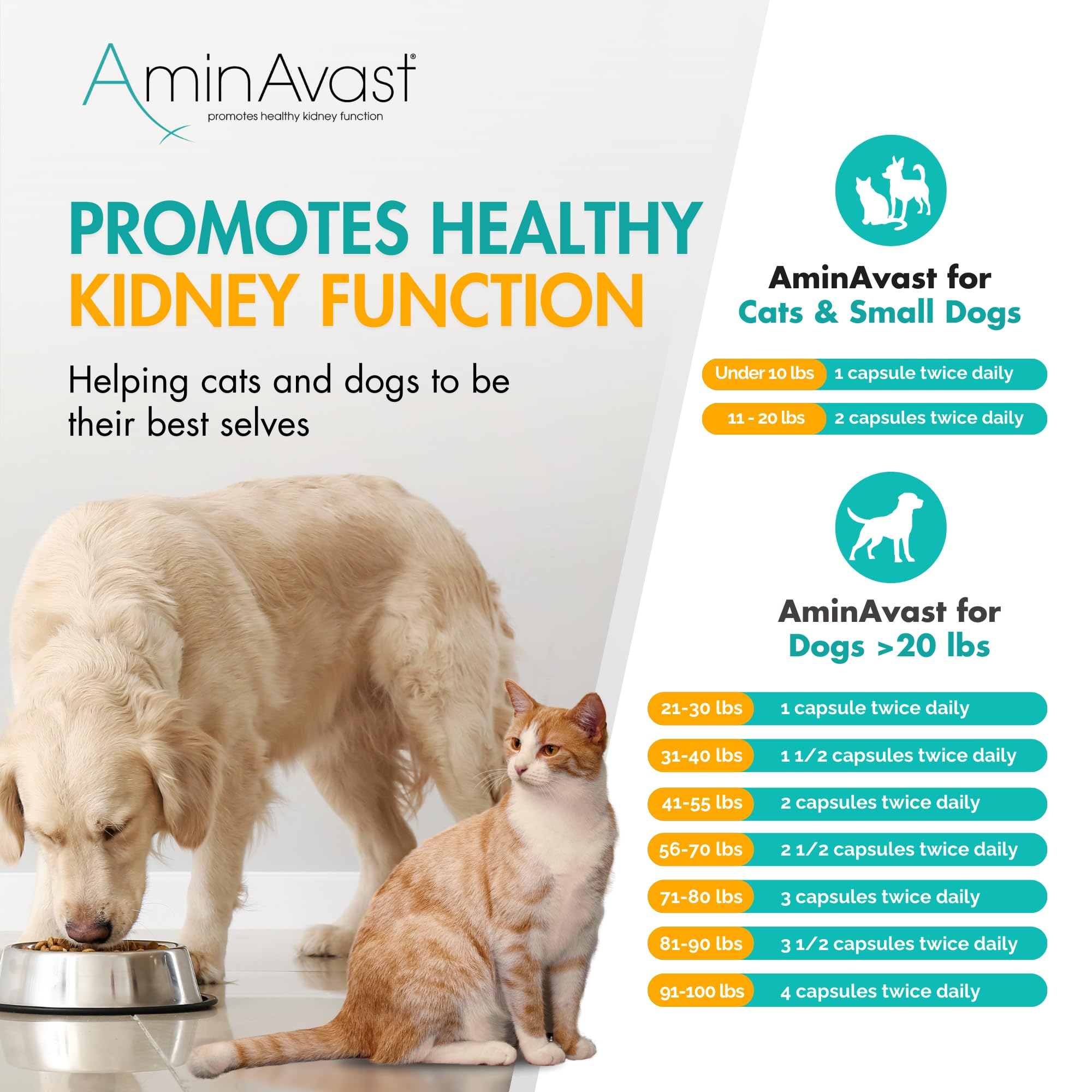 AminAvast pelaje sano y vitalidad de la mascota.