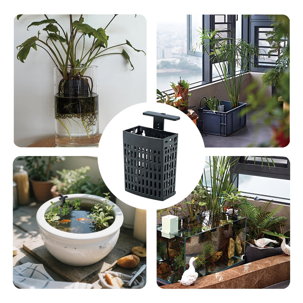 Amminle soporte para plantas semi acuáticas en acuario