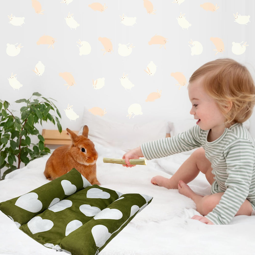 Amremsu Cama conejo uso interior, sitio acogedor en casa para tu mascota.