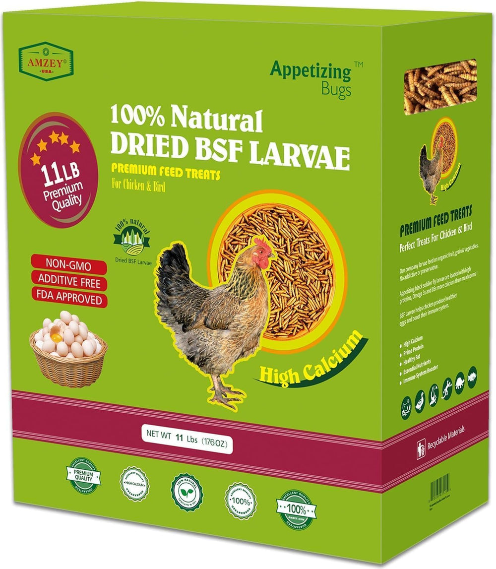 Larvas BSF Amzey para mascotas: usos versátiles en aves y reptiles.