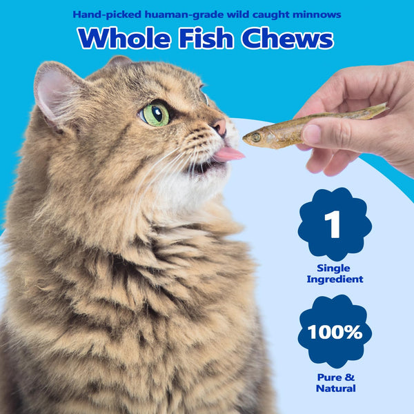 Detalle de pececillos liofilizados Amzey, snack natural para mascotas