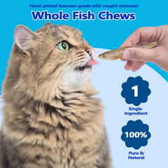 Detalle de pececillos liofilizados Amzey, snack natural para mascotas