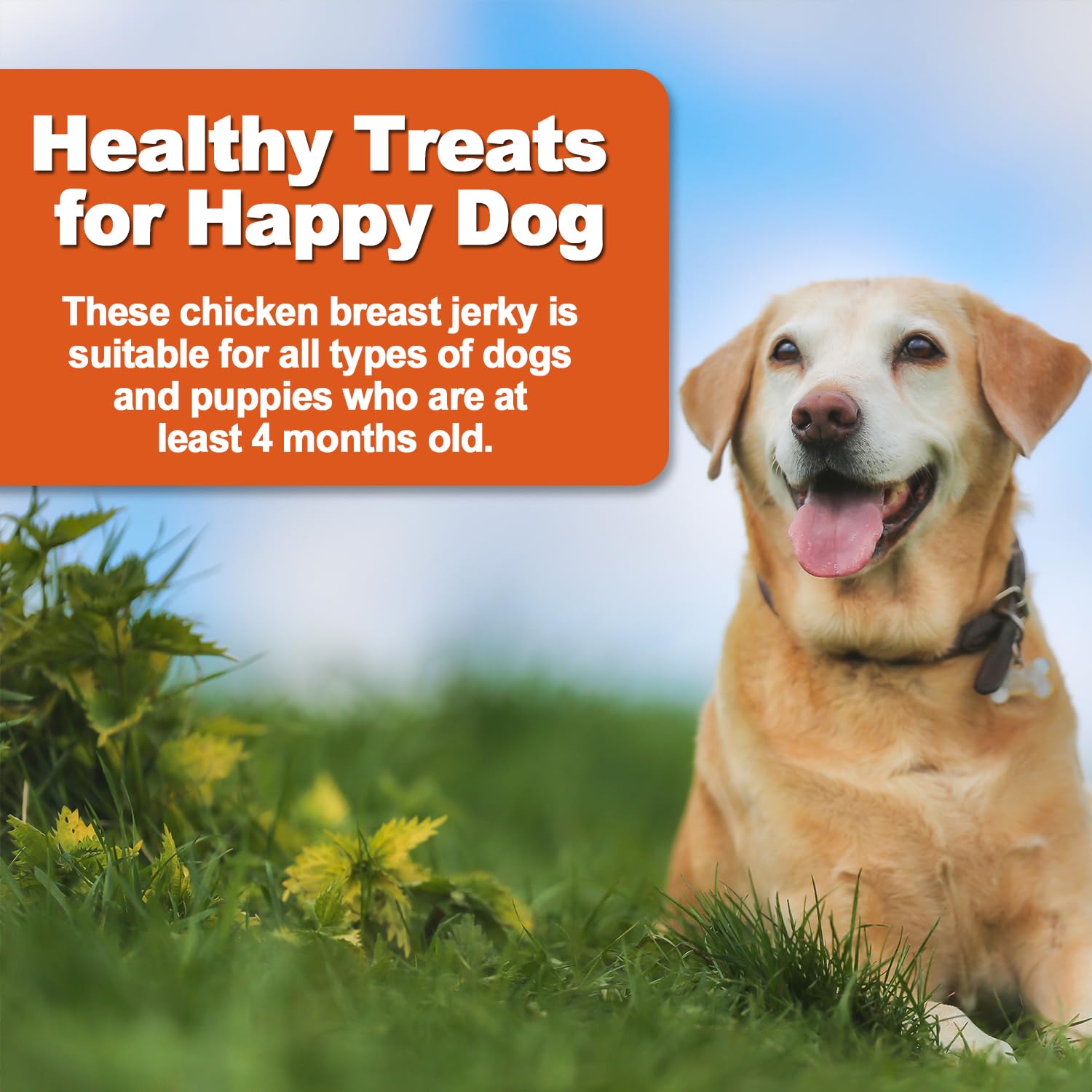 Amzey tentempié para salud dental potencial en perros.