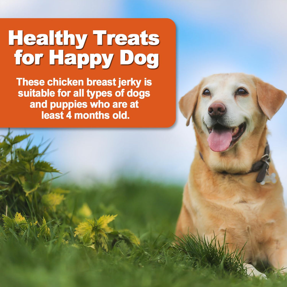 Amzey tentempié para salud dental potencial en perros.