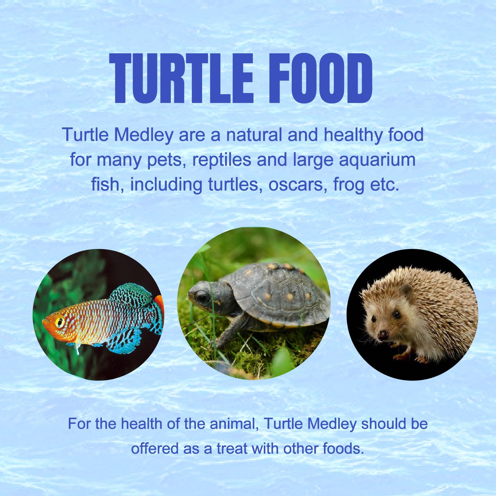 Amzey Medley Tortugas, alimento diario enriquecido para tortugas acuáticas.
