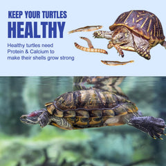 Amzey Medley Tortugas, gusanos de río secos para aporte proteico natural.