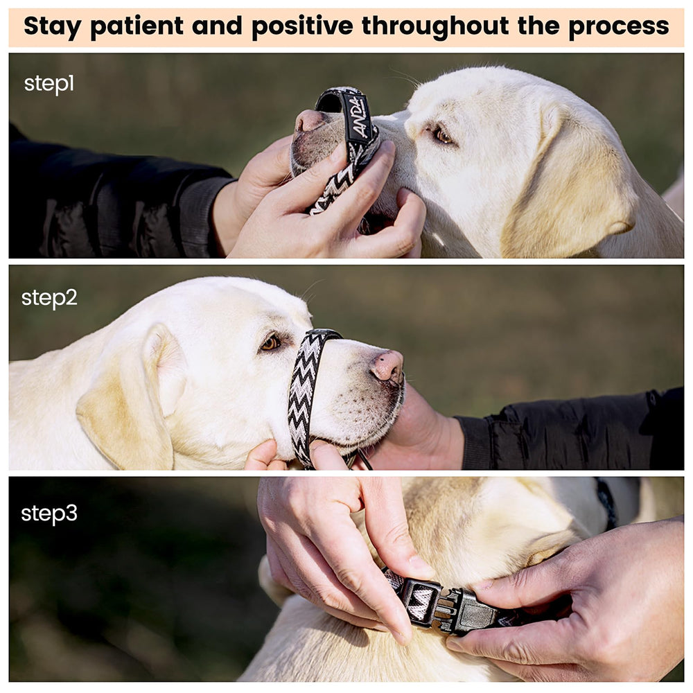 ANDA guía suave uso diario para perros activos