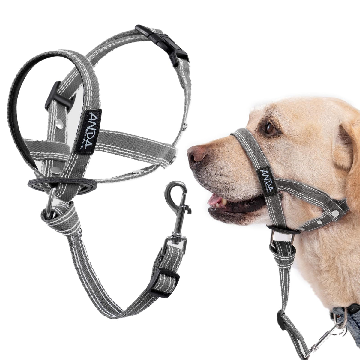ANDA ultraligero Collar Guía: ajuste cómodo para paseos diarios.