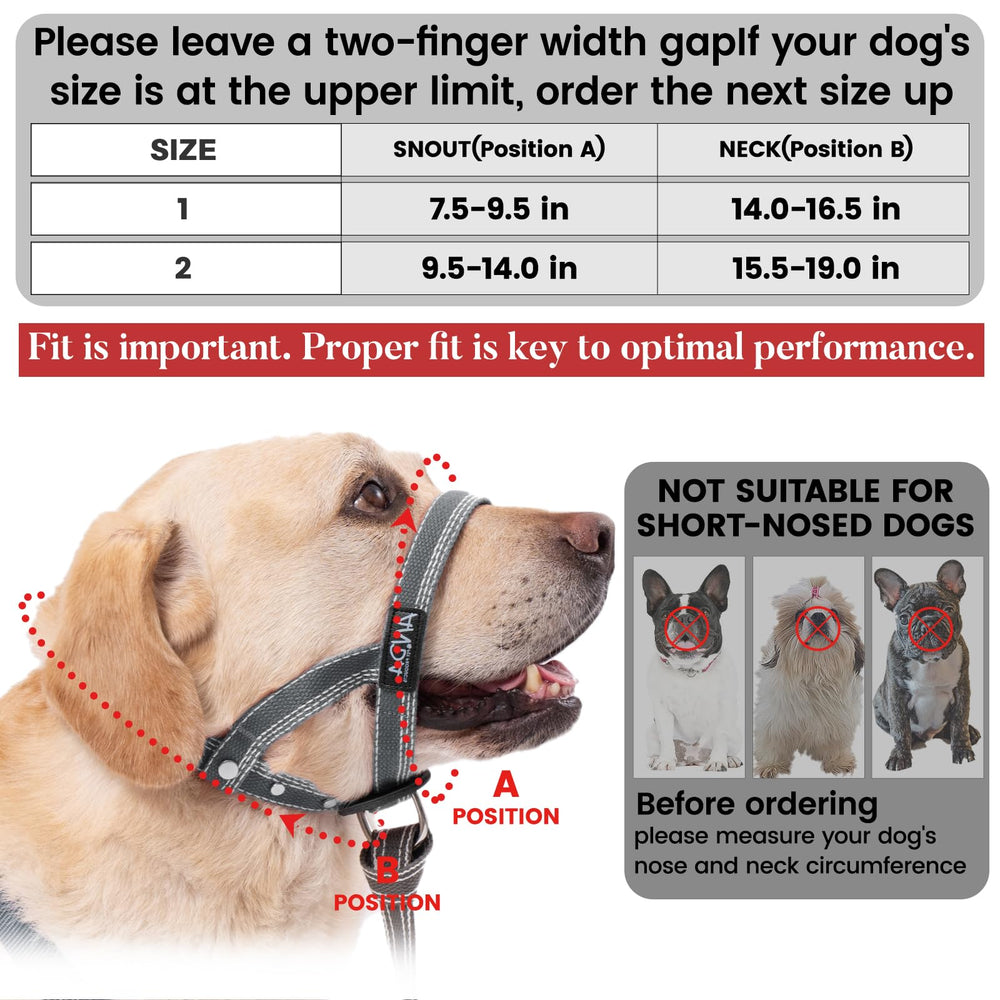 ANDA ultraligero Collar Guía: cómodo y seguro para paseos y entrenamiento suave.