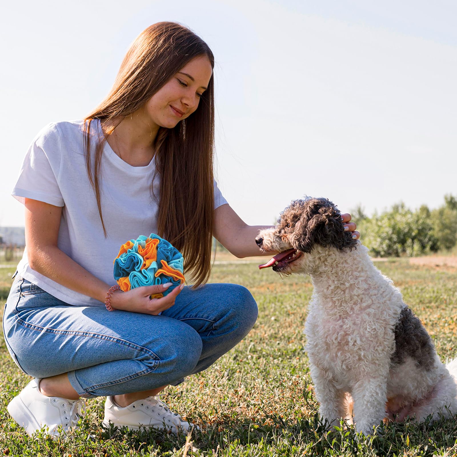 Andiker bola de olfato para perros pequeños y medianos, colorida y atractiva.