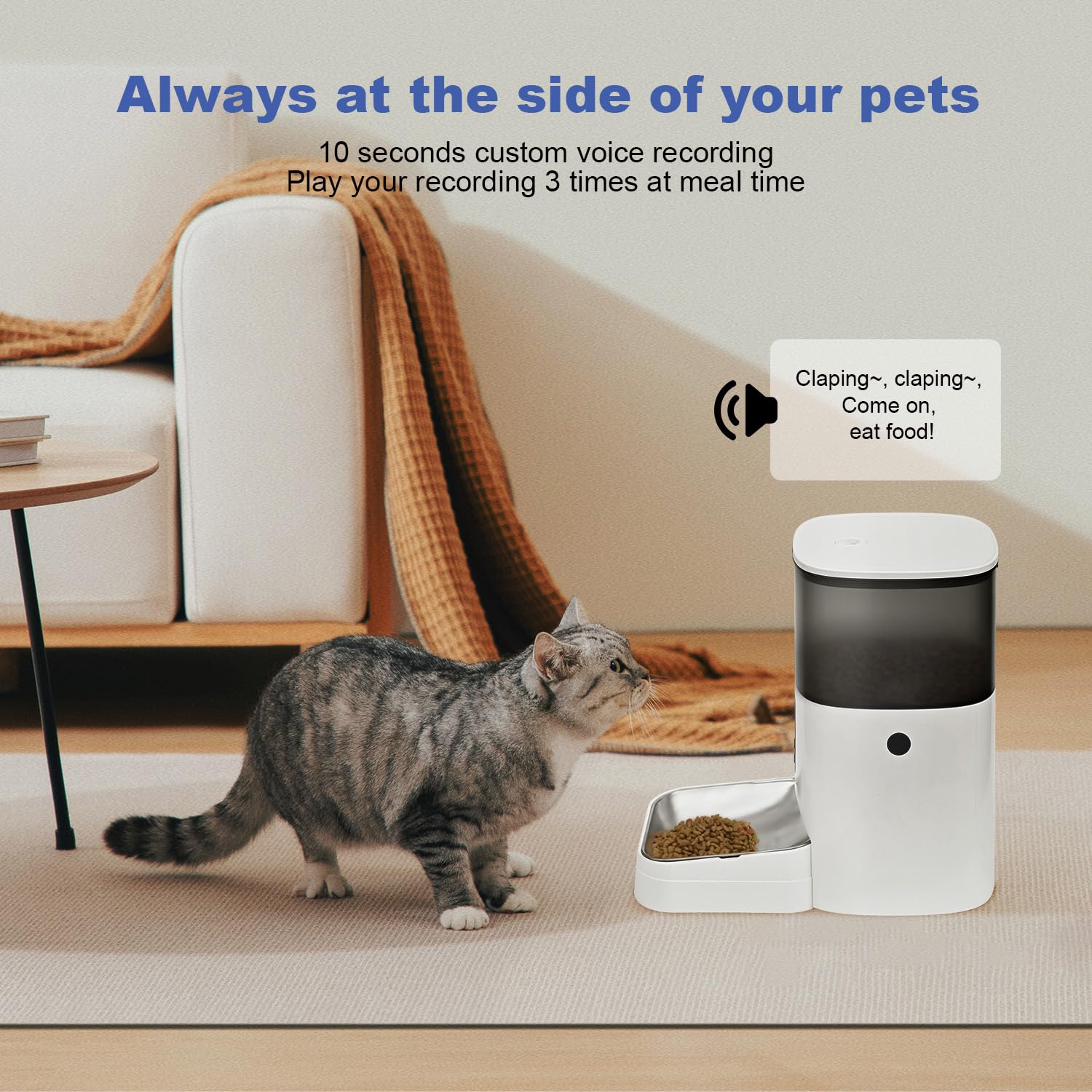 ANDOLL HOME alimentación programada aporta rutina estable para tu mascota