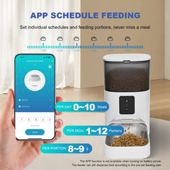 ANDOLL HOME grabación de voz 10s para llamar a tu gato durante la comida