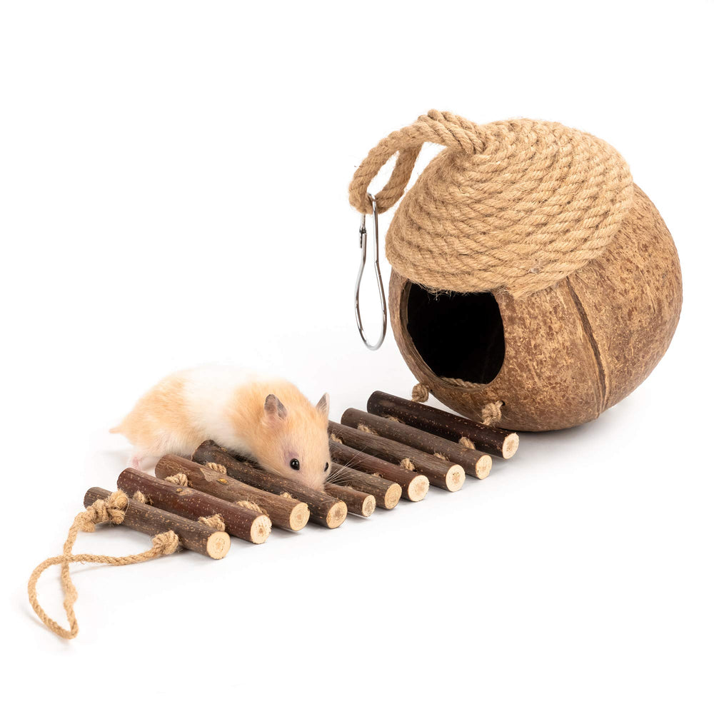 andwe Nido de Coco para Aves: alimentador-columpio que mejora la destreza