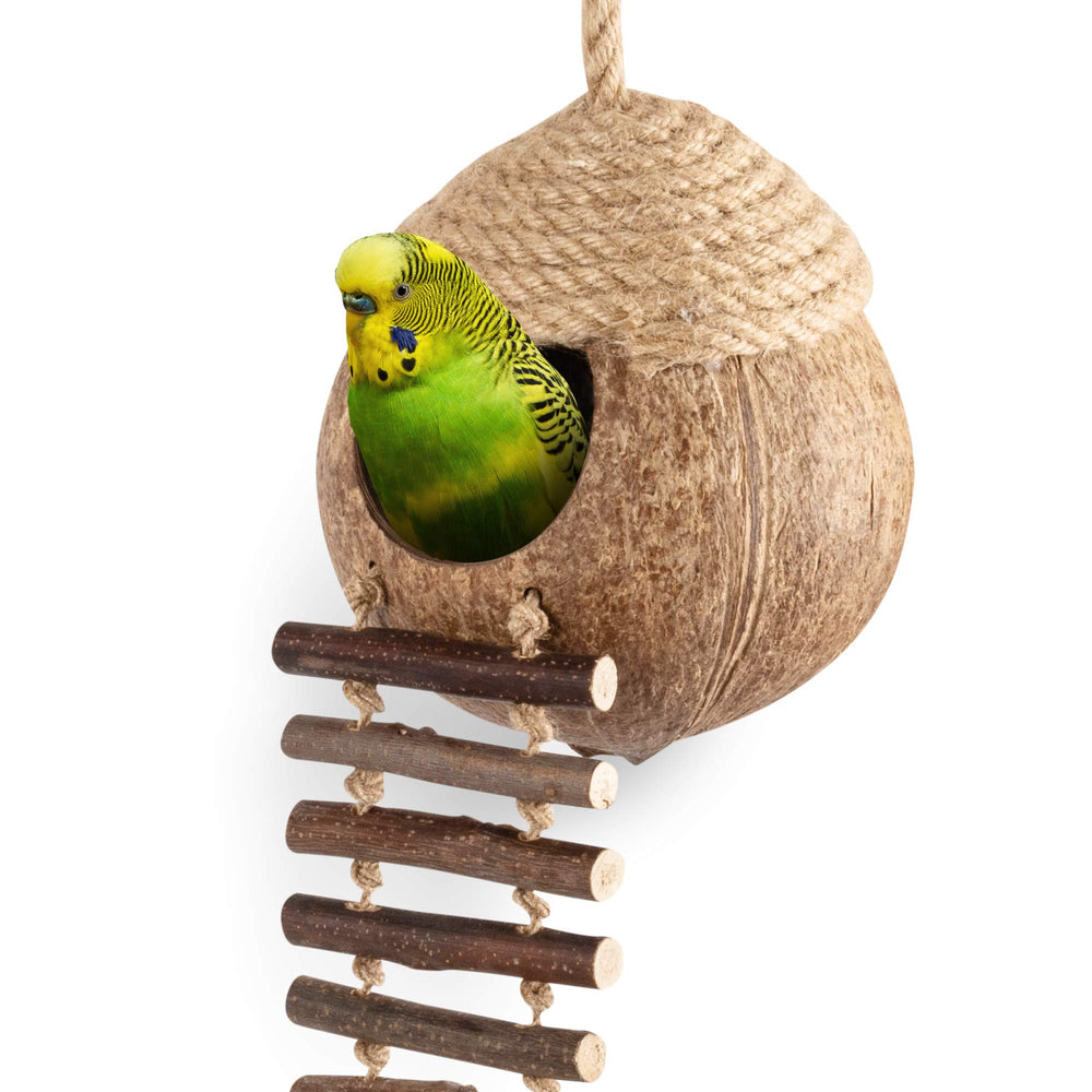 andwe Nido de Coco para Aves con Escalera: refugio cómodo para loros, periquitos y cacatúas