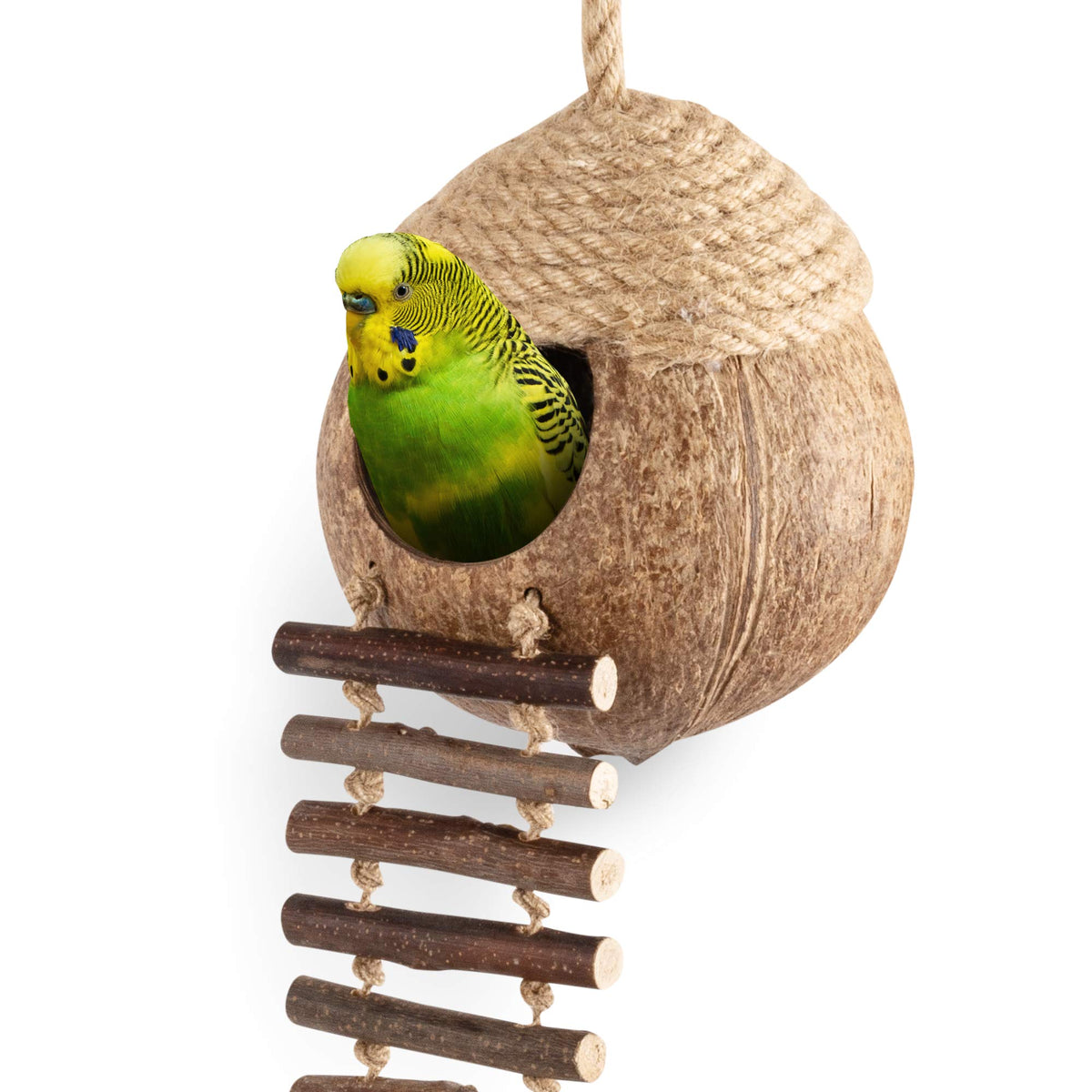 andwe Nido de Coco para Aves con Escalera: refugio cómodo para loros, periquitos y cacatúas