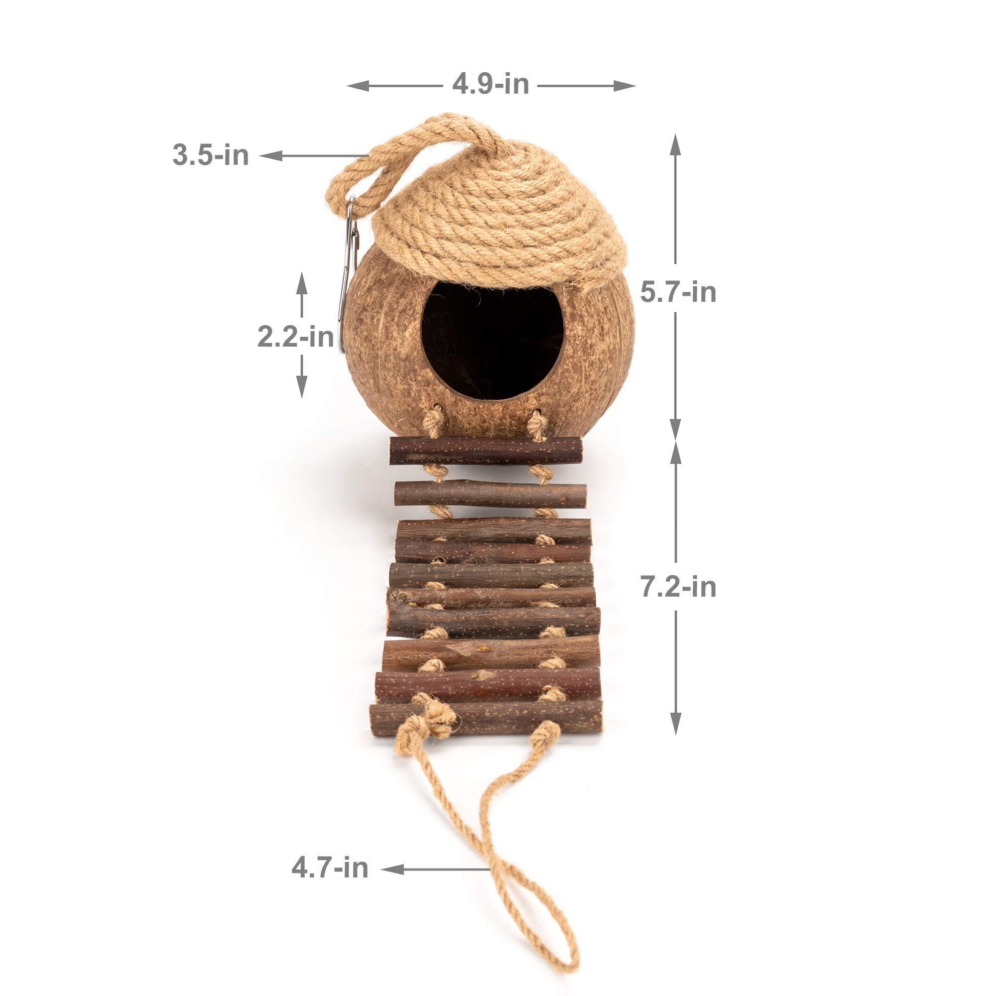 andwe Nido de Coco para Aves: hábitat decorativo completo