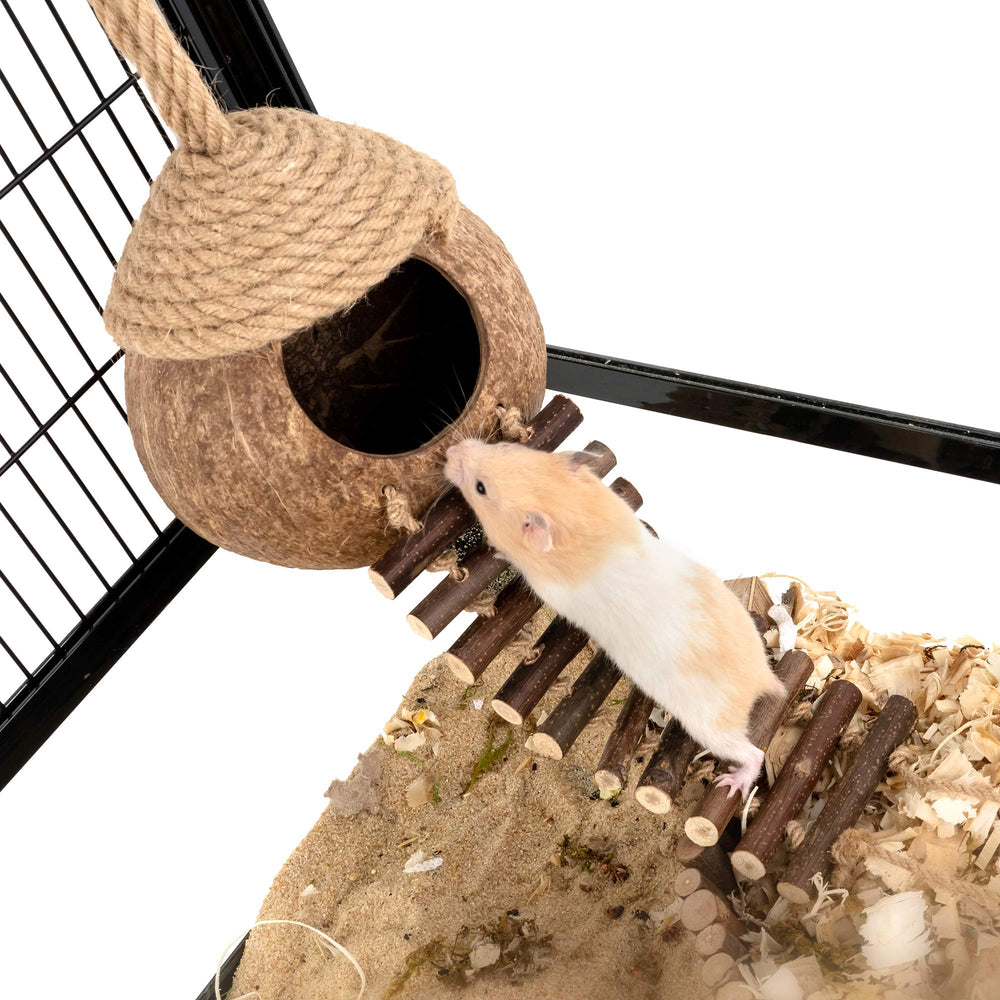 andwe Nido de Coco para Aves: material natural seguro y sostenible