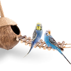 andwe Nido de Coco para Aves: plataforma de actividad con escalera