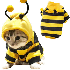 Anelekor Disfraz abeja con antenas y pompón, toque divertido para mascotas.