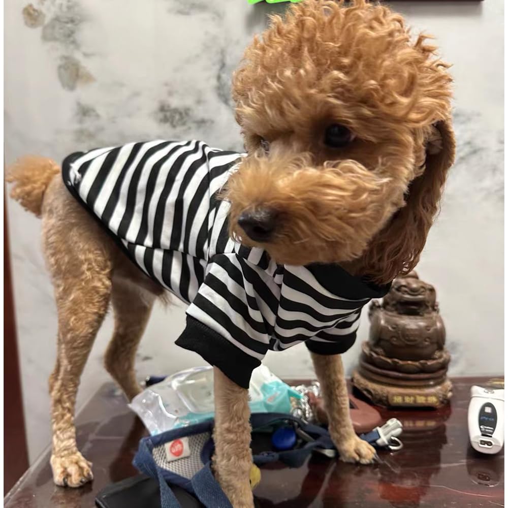 Anelekor sudadera con rayas negro-blanco, diseño clásico para mascota.