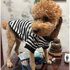 Anelekor sudadera con rayas negro-blanco, diseño clásico para mascota.